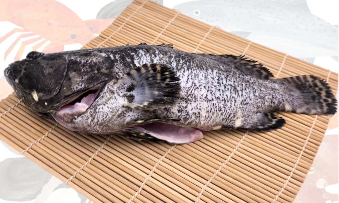 龍虎石斑三去條凍900/1000
